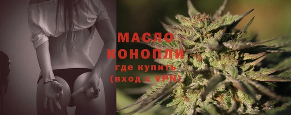 дмт Надым
