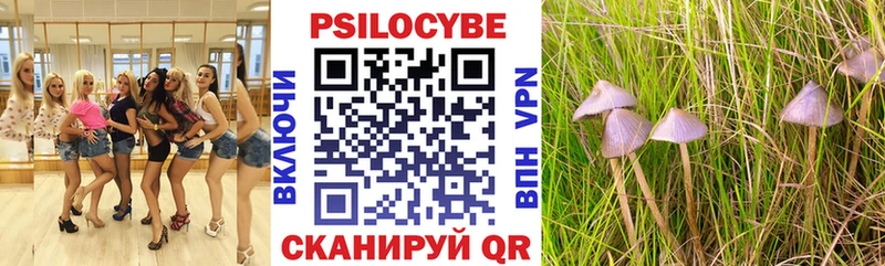 Галлюциногенные грибы MAGIC MUSHROOMS  KRAKEN как зайти  Междуреченск 