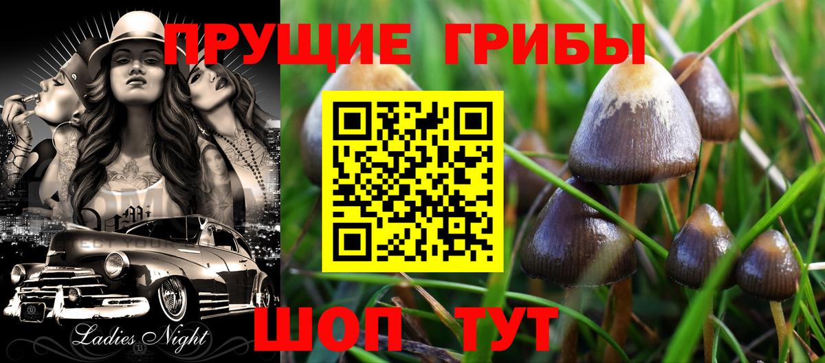Галлюциногенные грибы ЛСД  Междуреченск 